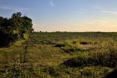 Gün batımında bir kır evi ve ağaçlarla dolu çıplak bir arazi.