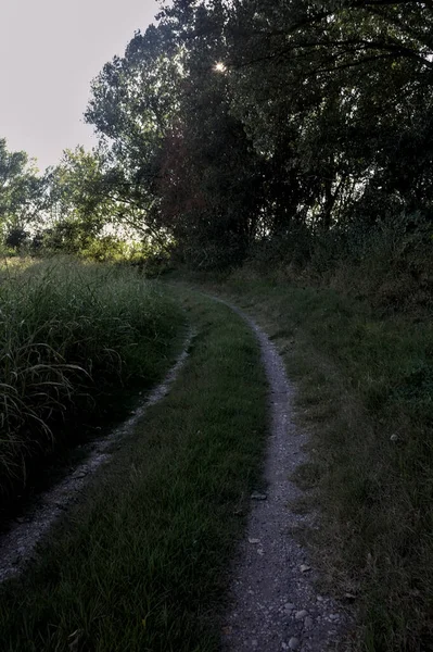 Caminho Sombra Delimitado Por Árvores Banqueiro Campo Pôr Sol — Fotografia de Stock