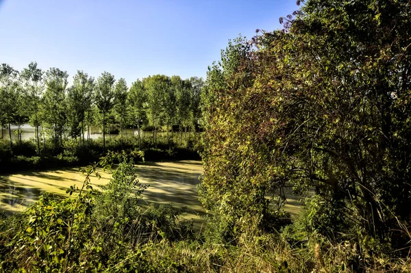 Entrada Río Bordeado Árboles Parque Campo Italiano Atardecer — Foto de Stock