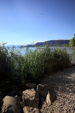 Rock beach with reeds by the lakeshore and boats floating afar on a sunny day