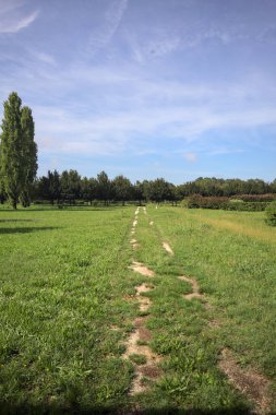 Trail in a lawn of a park with trees in the background on a sunny day in the italian countryside
