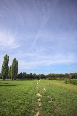 Trail in a lawn of a park with trees in the background on a sunny day in the italian countryside