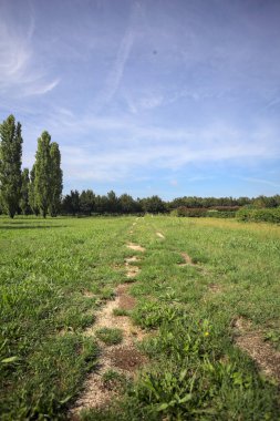 Trail in a lawn of a park with trees in the background on a sunny day in the italian countryside