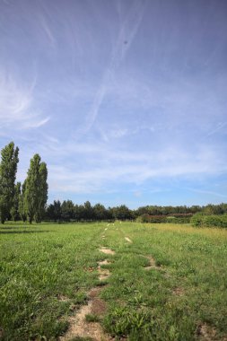 Trail in a lawn of a park with trees in the background on a sunny day in the italian countryside