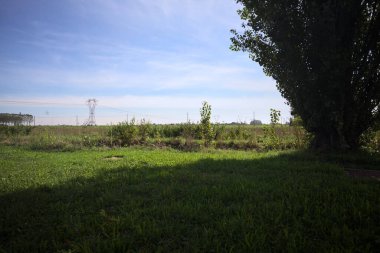 Uncultivated field with a overhead powerline and electricity masts on it in the italian countryside seen from a lawn before a ditch and framed by a tree on a sunny day