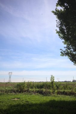 Uncultivated field with a overhead powerline and electricity masts on it in the italian countryside seen from a lawn before a ditch and framed by a tree on a sunny day