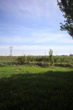 Uncultivated field with a overhead powerline and electricity masts on it in the italian countryside seen from a lawn before a ditch and framed by a tree on a sunny day