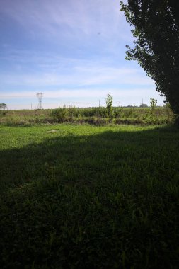 Uncultivated field with a overhead powerline and electricity masts on it in the italian countryside seen from a lawn before a ditch and framed by a tree on a sunny day