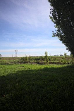 Uncultivated field with a overhead powerline and electricity masts on it in the italian countryside seen from a lawn before a ditch and framed by a tree on a sunny day