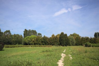 Trail in a lawn of a park with trees in the background on a sunny day in the italian countryside