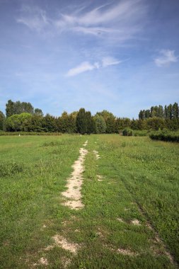 Trail in a lawn of a park with trees in the background on a sunny day in the italian countryside