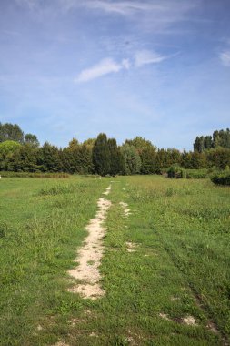 Trail in a lawn of a park with trees in the background on a sunny day in the italian countryside