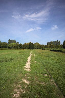 Trail in a lawn of a park with trees in the background on a sunny day in the italian countryside