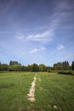 Trail in a lawn of a park with trees in the background on a sunny day in the italian countryside