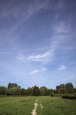 Trail in a lawn of a park with trees in the background on a sunny day in the italian countryside