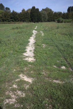 Trail in a lawn of a park with trees in the background on a sunny day in the italian countryside