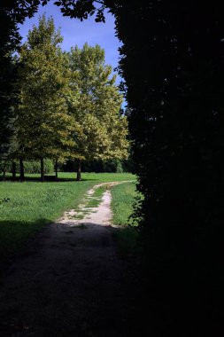 Trail passing under an arch made with an hedge passing between lawns with trees on a sunny day in the italian countryside