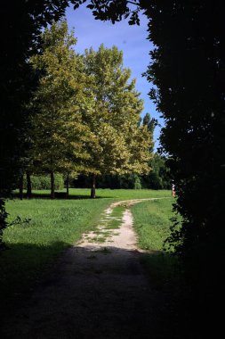 Trail passing under an arch made with an hedge passing between lawns with trees on a sunny day in the italian countryside
