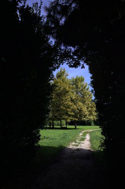 Trail passing under an arch made with an hedge passing between lawns with trees on a sunny day in the italian countryside