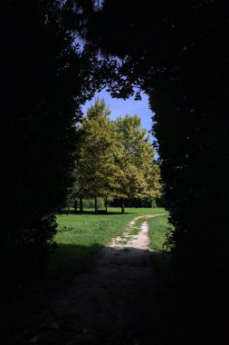 Trail passing under an arch made with an hedge passing between lawns with trees on a sunny day in the italian countryside