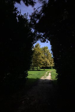 Trail passing under an arch made with an hedge passing between lawns with trees on a sunny day in the italian countryside
