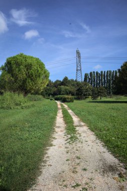 Rock trail in a park with trees bordering it and an electricity mast in the background on a sunny day in the italian countryside