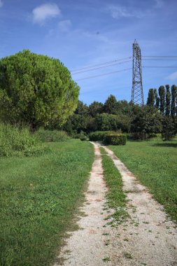 Rock trail in a park with trees bordering it and an electricity mast in the background on a sunny day in the italian countryside