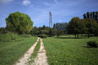 Rock trail in a park with trees bordering it and an electricity mast in the background on a sunny day in the italian countryside