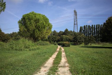 Rock trail in a park with trees bordering it and an electricity mast in the background on a sunny day in the italian countryside