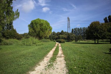 Rock trail in a park with trees bordering it and an electricity mast in the background on a sunny day in the italian countryside