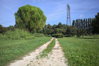 Rock trail in a park with trees bordering it and an electricity mast in the background on a sunny day in the italian countryside