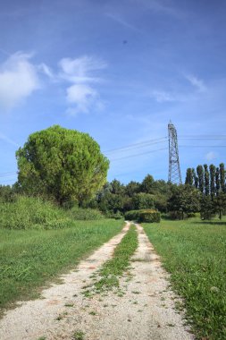 Rock trail in a park with trees bordering it and an electricity mast in the background on a sunny day in the italian countryside