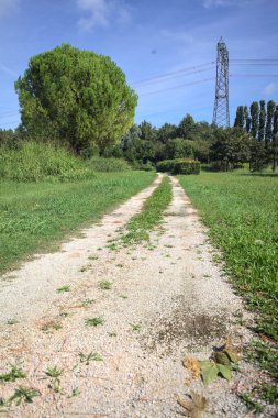 Rock trail in a park with trees bordering it and an electricity mast in the background on a sunny day in the italian countryside