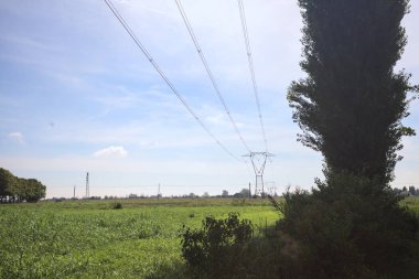 Field bordered by a hedge and a row of poplar framing the scene with a powerline over it on a sunny day in the italian countryside