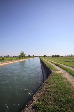 İtalya 'nın kırsal kesimlerinde güneşli bir günde çayırın ortasında patikalarla çevrili bir kanalda akan sular.