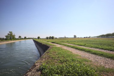 İtalya 'nın kırsal kesimlerinde güneşli bir günde çayırın ortasında patikalarla çevrili bir kanalda akan sular.