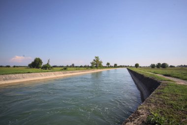 İtalya 'nın kırsal kesimlerinde güneşli bir günde çayırın ortasında patikalarla çevrili bir kanalda akan sular.