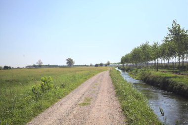 Dirt trail making a bend in the distance next to a meadow and bordered by a stream of water and a row of trees on a sunny day in the italian countryside