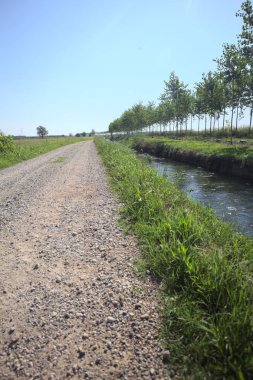 Dirt trail making a bend in the distance next to a meadow and bordered by a stream of water and a row of trees on a sunny day in the italian countryside