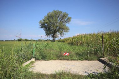 Maize field and an uncultivated field with a poplar in the middle of it on a sunny day in the italian countryside seen from a concrete passageway blocked by an iron chain