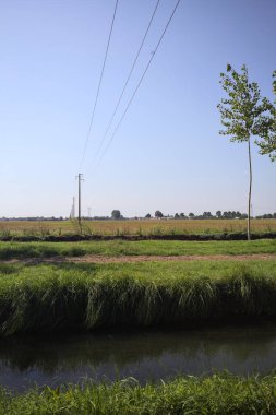 Electricity pylons and a overhead powerline between the opening of a row of trees passing over a meadow in the italian countryside on a sunny day seen from the shore of a stream of water