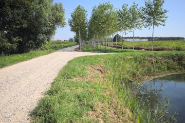 Crossroads next to a stream of water and a small grove between dirt roads on a sunny day in the italian countryside