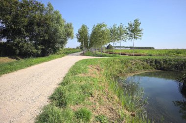 Crossroads next to a stream of water and a small grove between dirt roads on a sunny day in the italian countryside