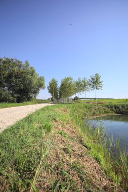 Crossroads next to a stream of water and a small grove between dirt roads on a sunny day in the italian countryside