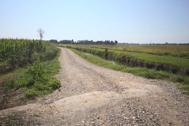Dirt road bordered by a stream of water stretching to the horizon to a country manor on a clear and sunny day in the italian countryside