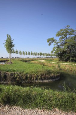 Dirt trail making a bend in the distance next to a meadow and bordered by a stream of water and a row of trees on a sunny day in the italian countryside