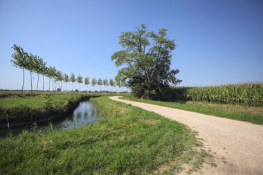 Dirt trail making a bend in the distance next to a meadow and bordered by a stream of water and a row of trees on a sunny day in the italian countryside