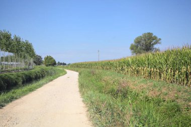 Dirt trail making a bend in the distance next to a meadow and bordered by a stream of water and a row of trees on a sunny day in the italian countryside