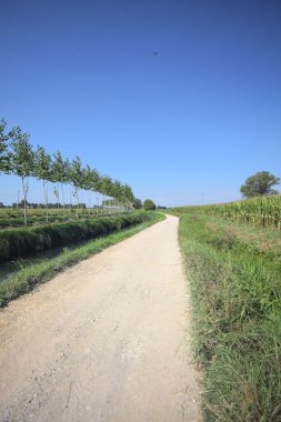 Dirt trail making a bend in the distance next to a meadow and bordered by a stream of water and a row of trees on a sunny day in the italian countryside
