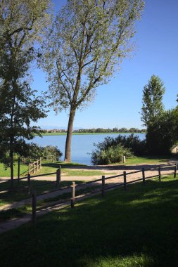 Inlet between trees and reeds by the shore of a lake in a park on a sunny day seen from above